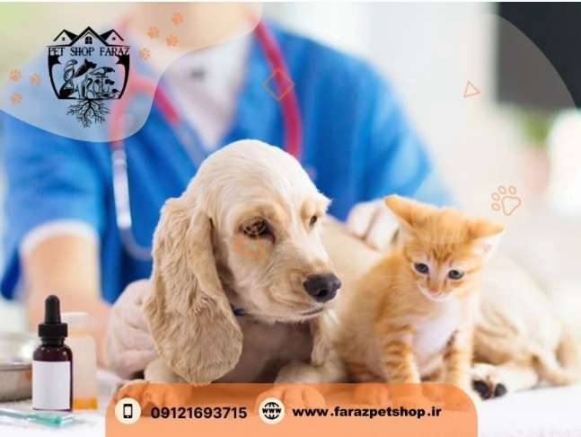 دانلود فیلم واکسیناسیون حیوانات